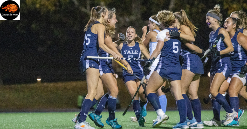 Untitled-design-22-1024x538 Is Nexus Field Hockey Worth it?