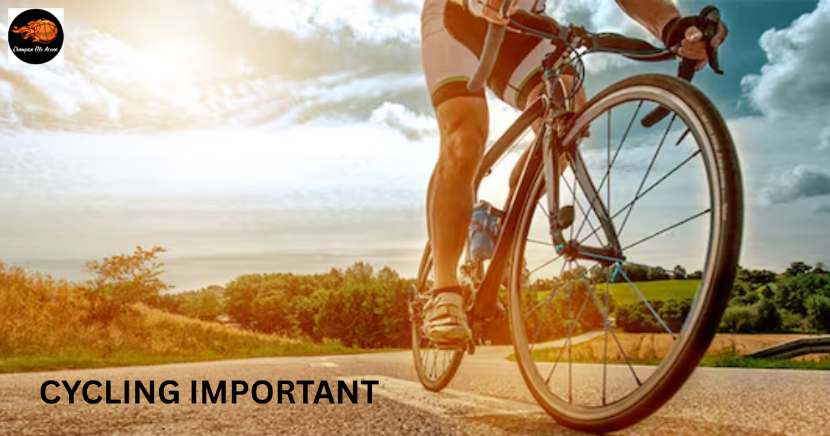 Why is Cycling Important?
